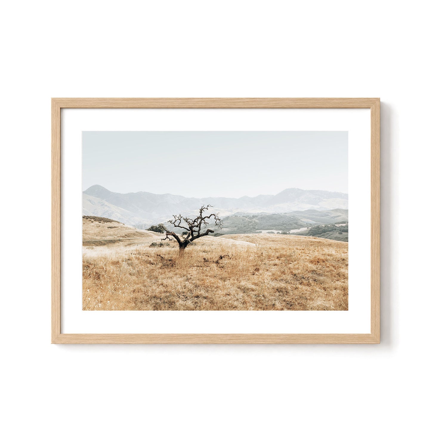 Golden Terrain