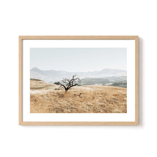 Golden Terrain
