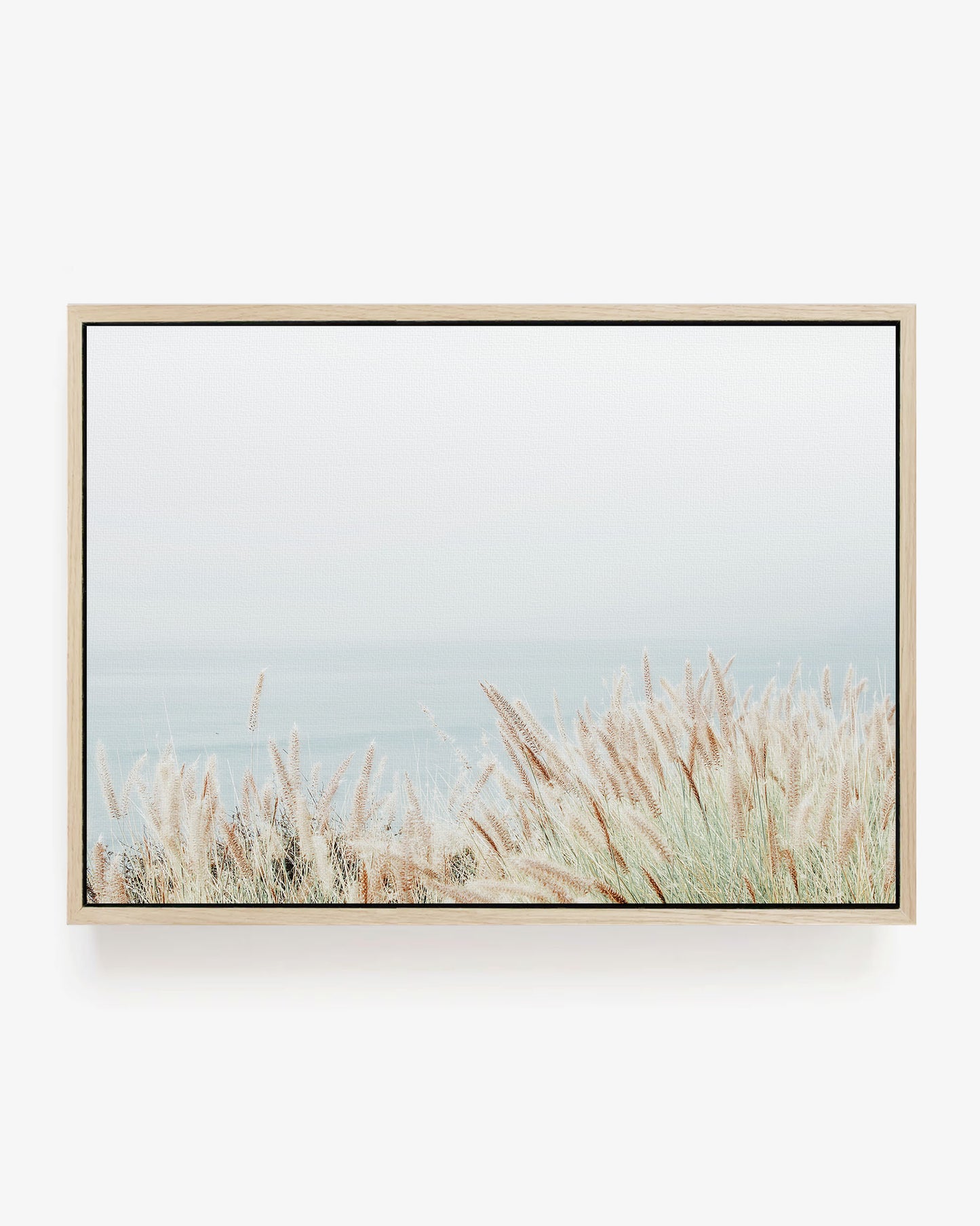 Coastal Grass - Neutral Photography Wall Art
