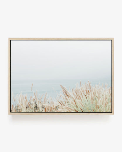 Coastal Grass - Neutral Photography Wall Art