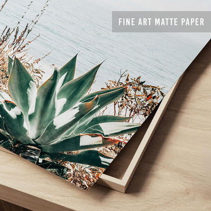 Pacific Agave