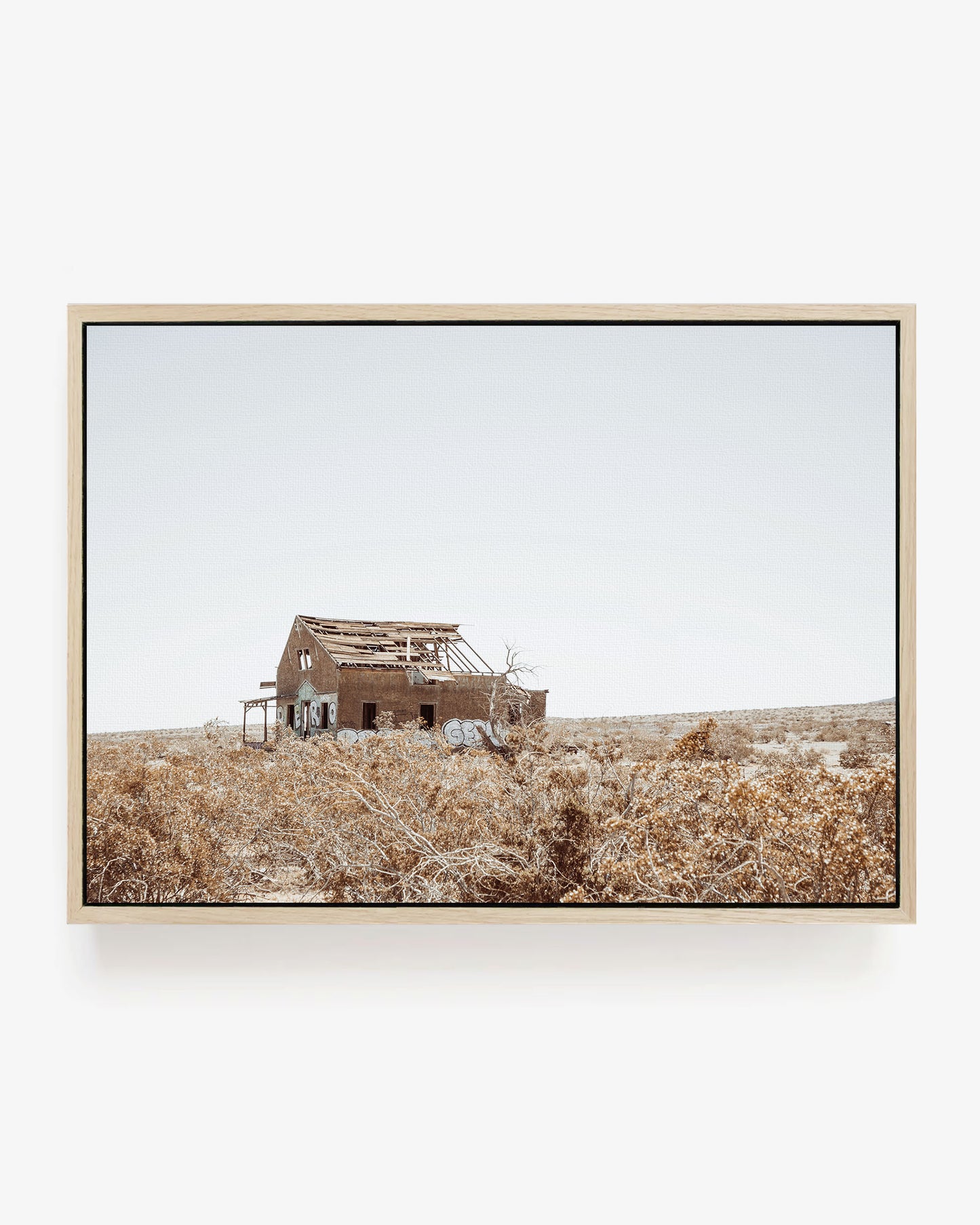 Lost Desert Homestead
