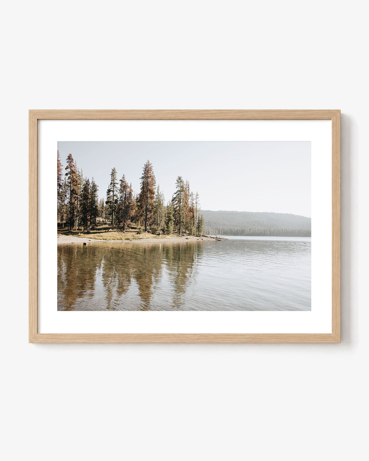 Reflected Trees