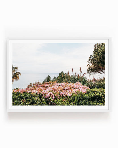 Coastal Blooms – Laguna Beach Wall Art