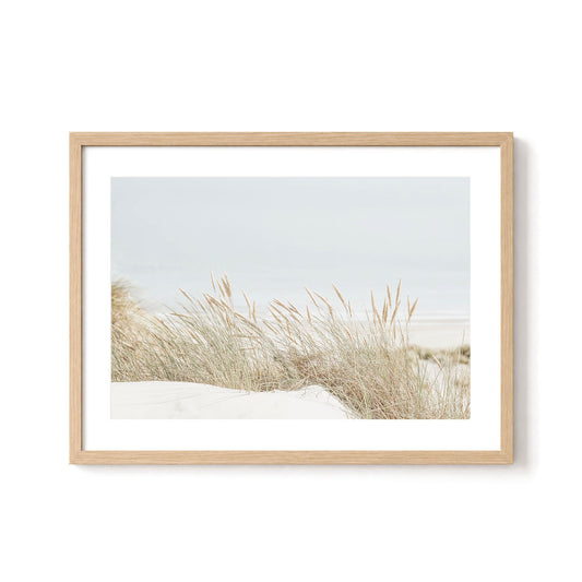 Dune Grass by the Sea