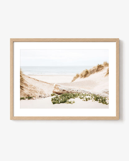 Dune Passage