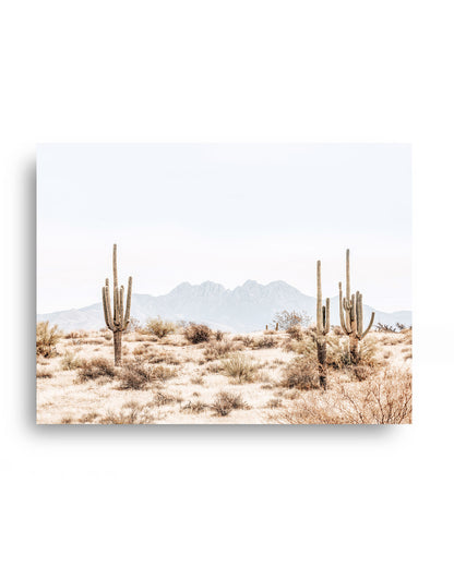 Four Peaks Horizon