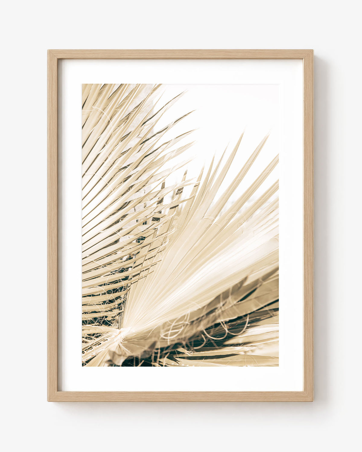 Fronds
