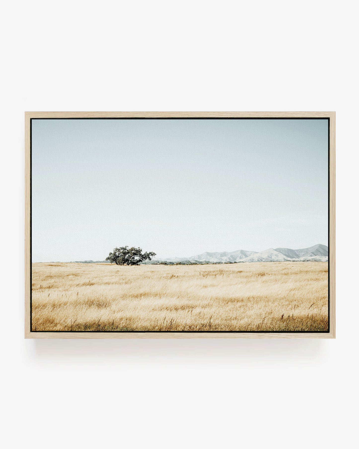 Quiet Prairie