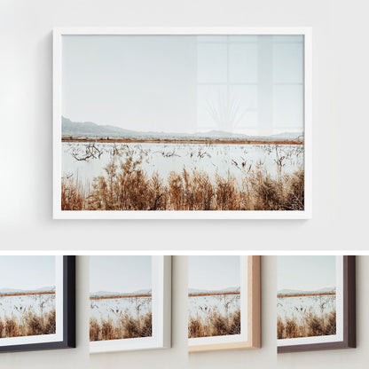 Desert Marsh