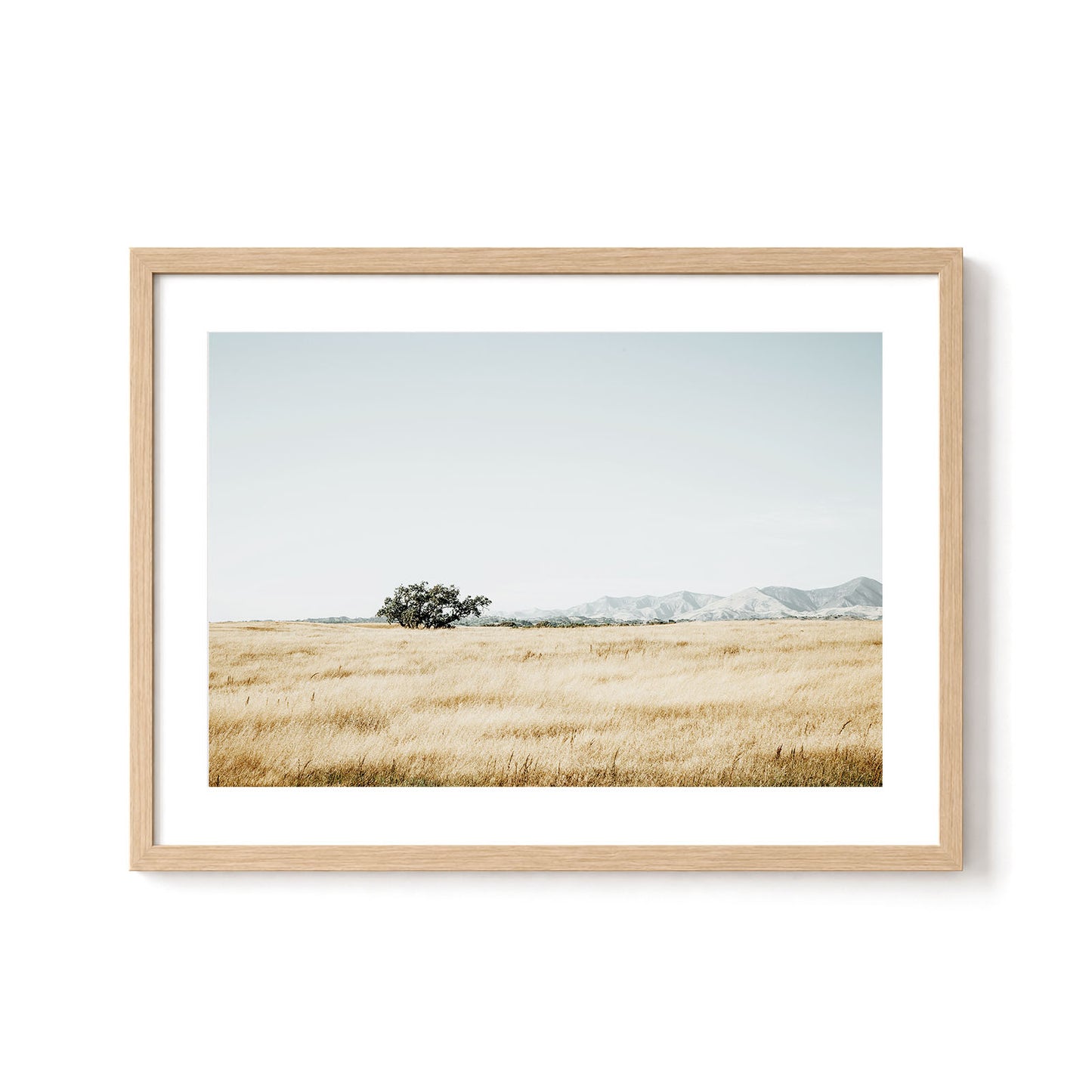 Quiet Prairie
