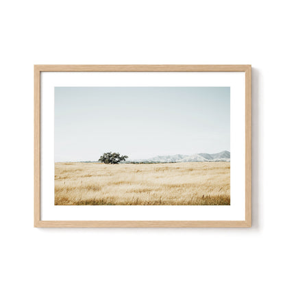Quiet Prairie