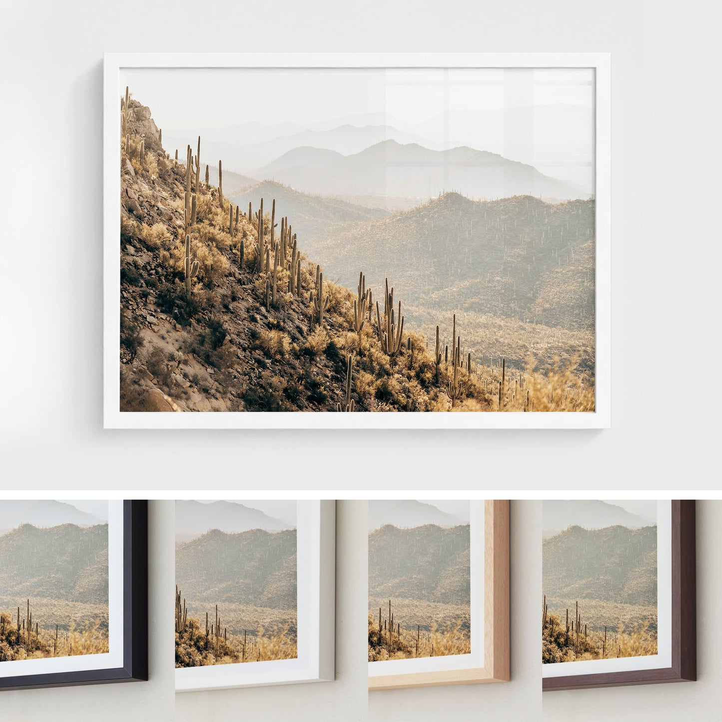 Saguaro Mountains