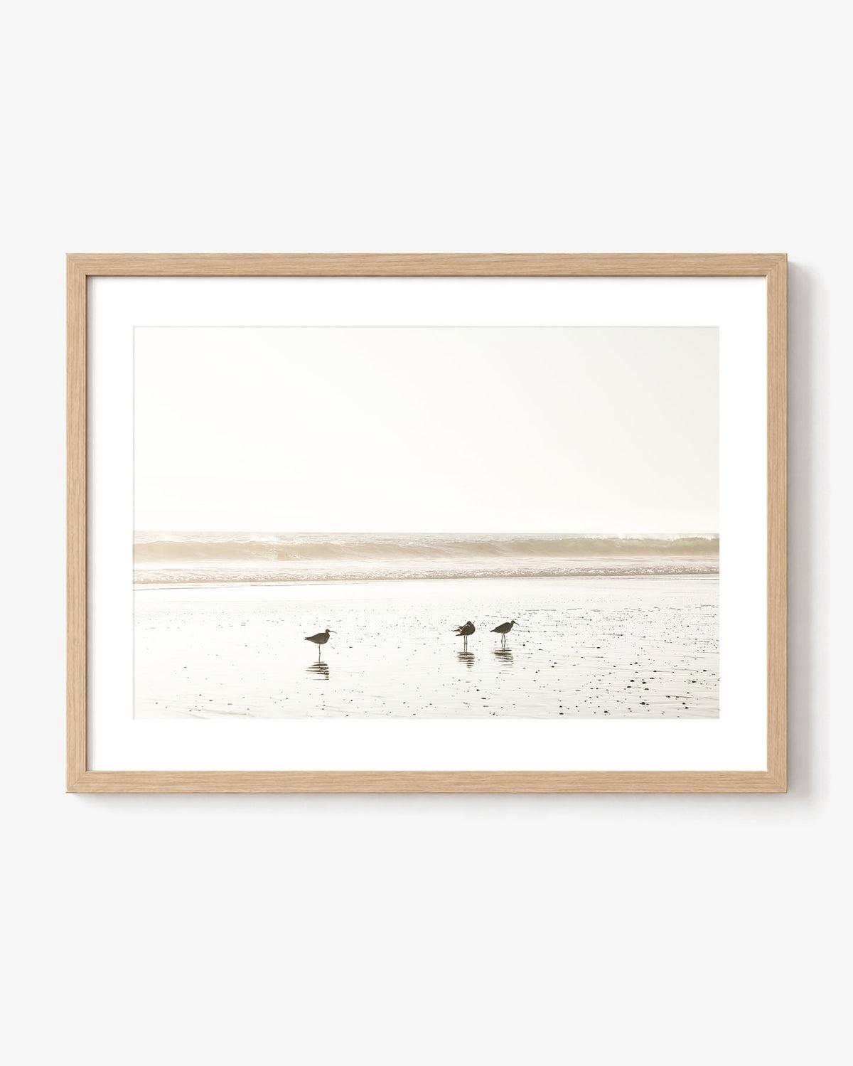 Birds at Low Tide