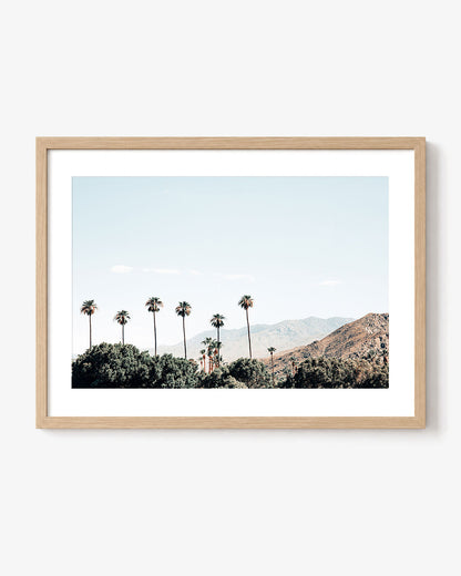 Desert Palms