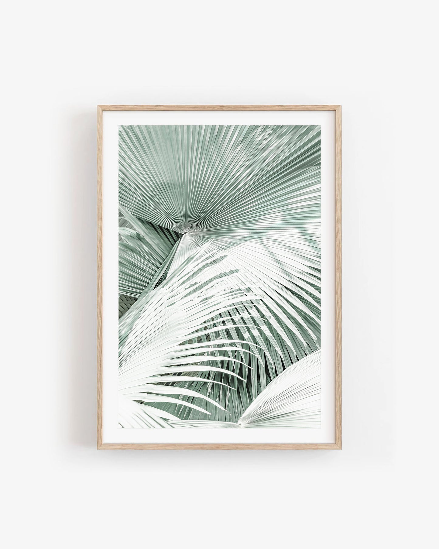 MINT PALMS