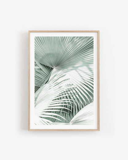 MINT PALMS