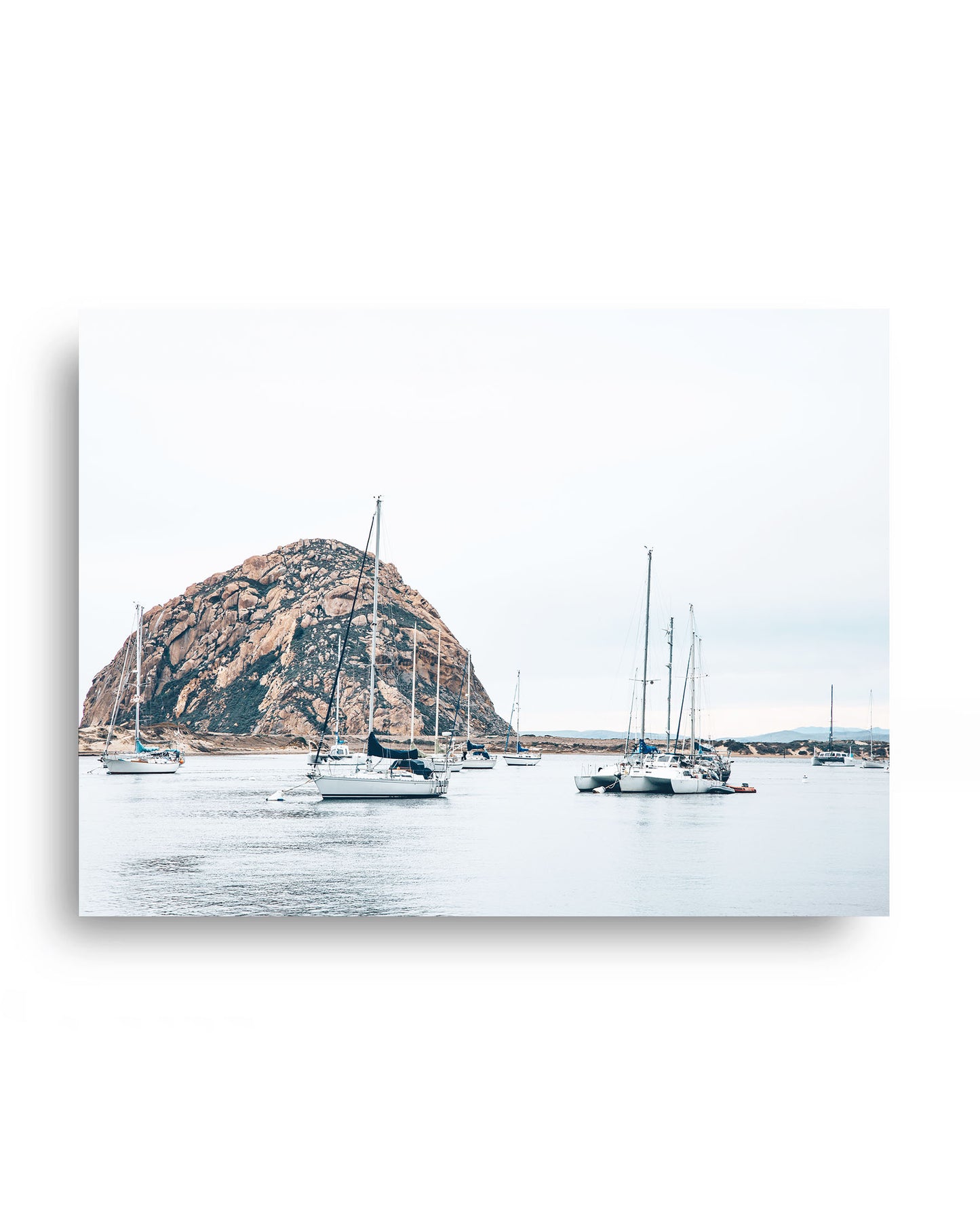 Harbor Calm