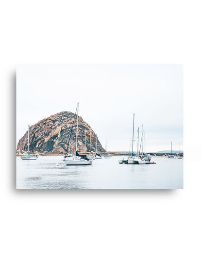 Harbor Calm