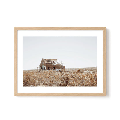 Lost Desert Homestead