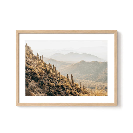 Saguaro Mountains