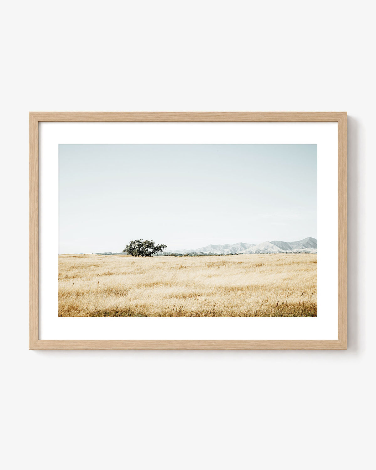 Quiet Prairie