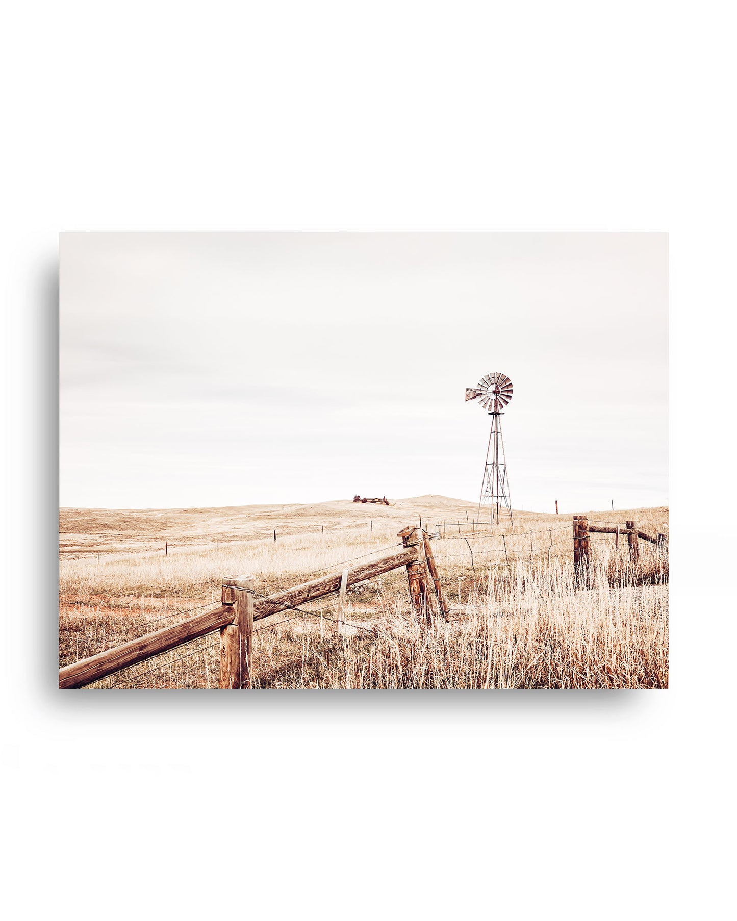 Windmill Meadow