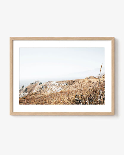 Wild Headland