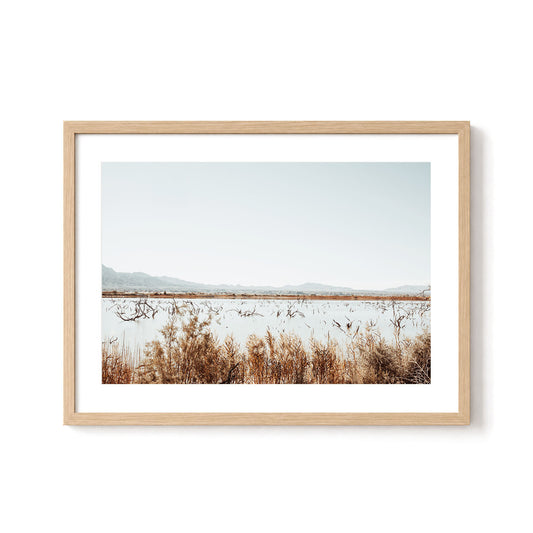 Desert Marsh