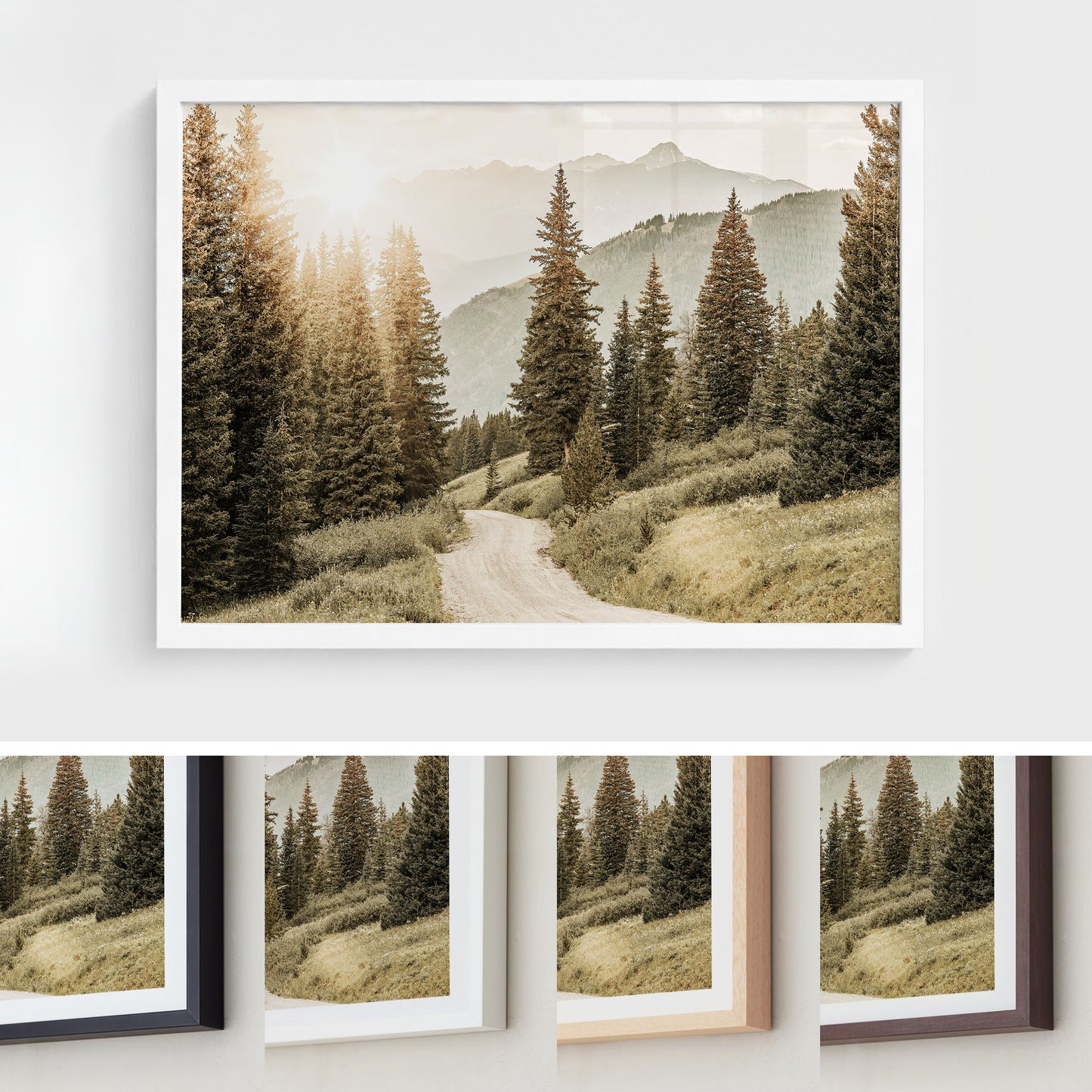 Colorado Mountain Trail