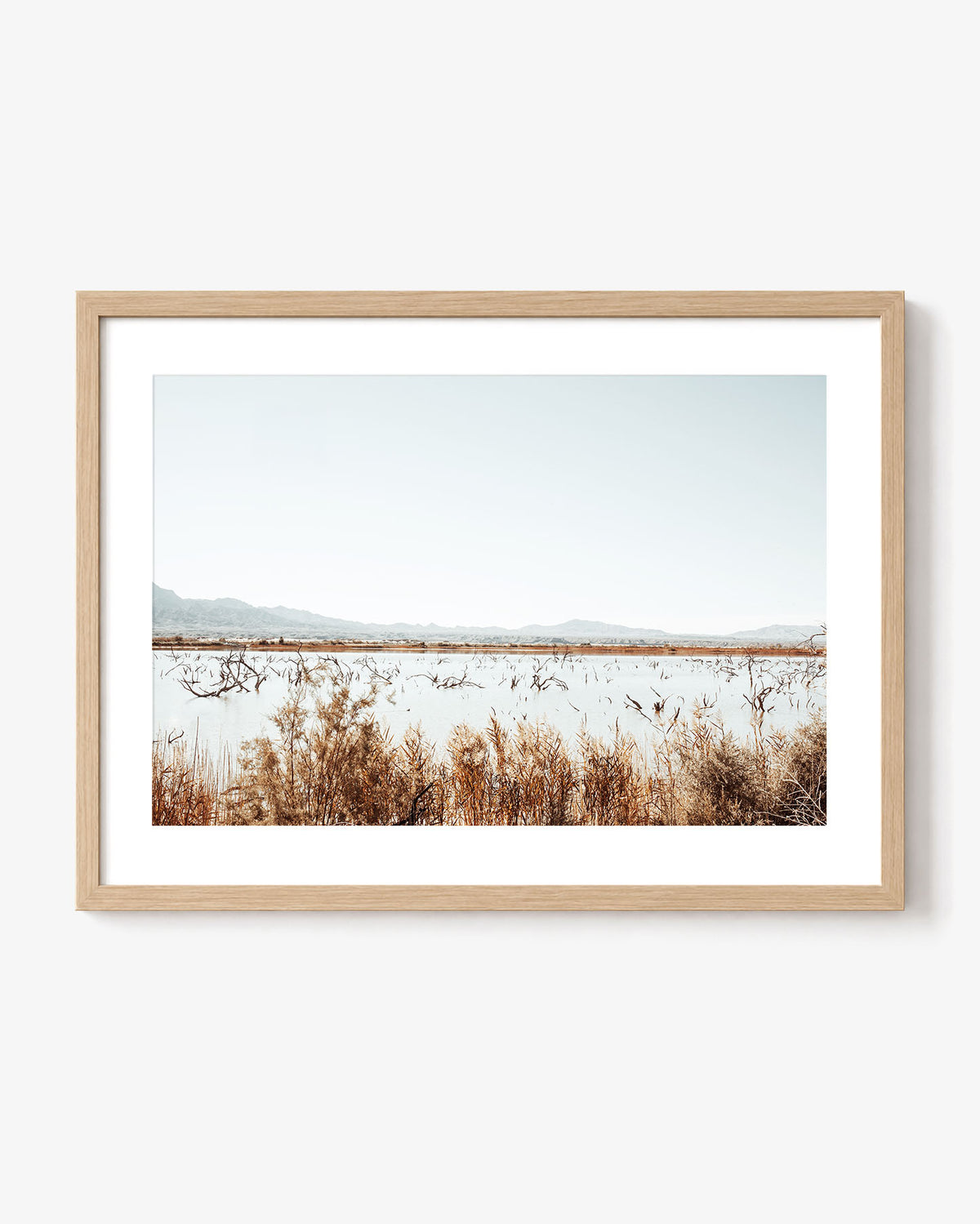 Desert Marsh