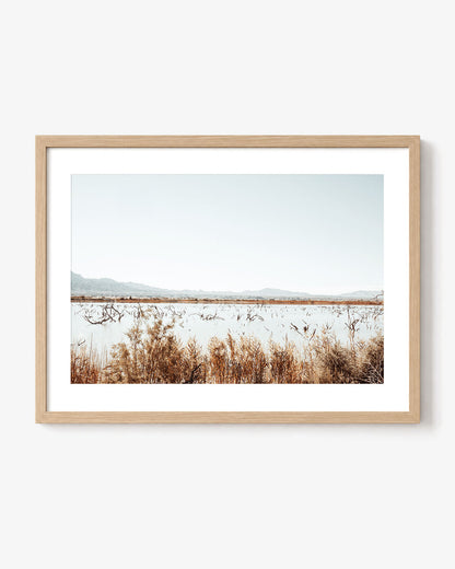 Desert Marsh