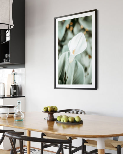 Quiet Bloom – Calla Lily Wall Art