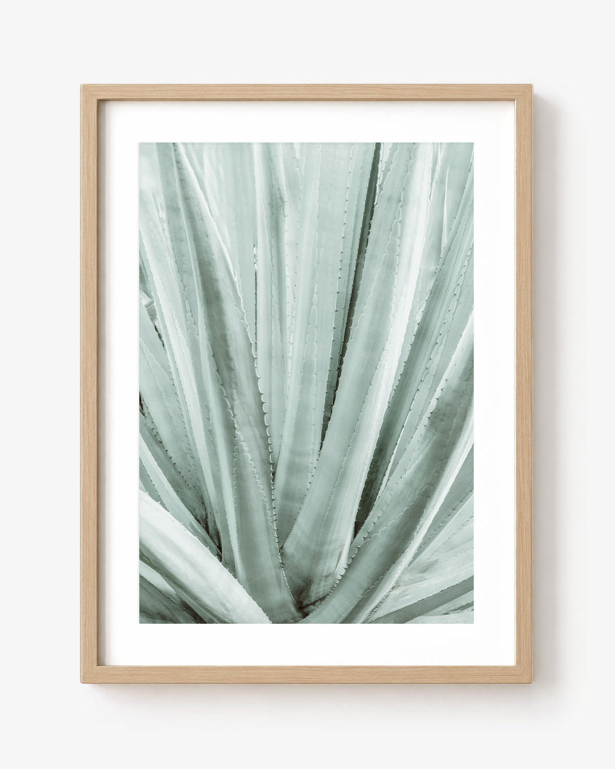 Botanical Symmetry