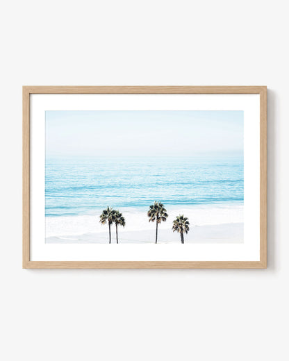Pacific Palms