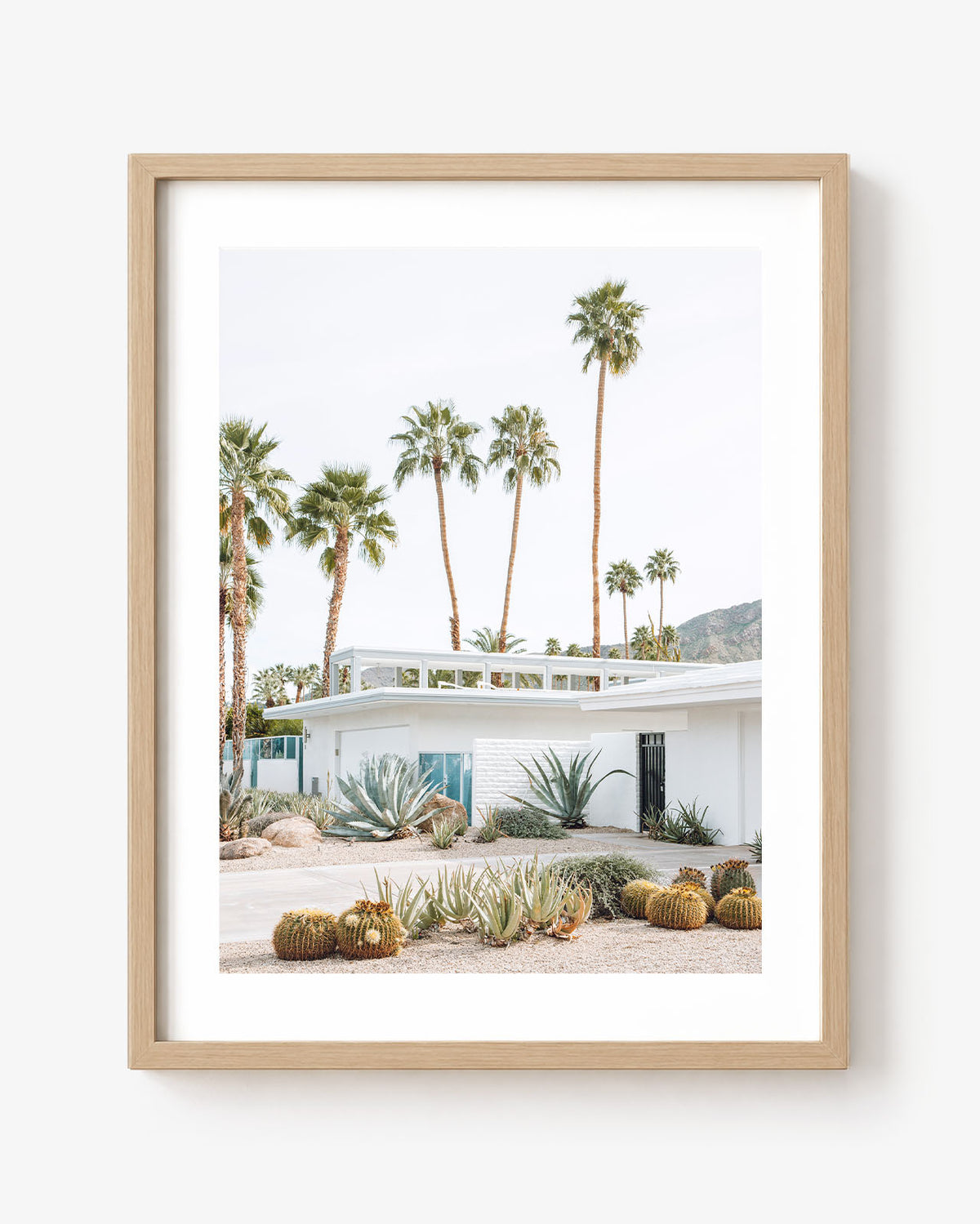 Palm Springs Living