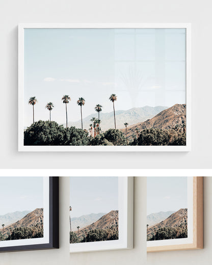 Desert Palms