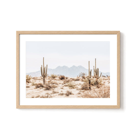 Four Peaks Horizon
