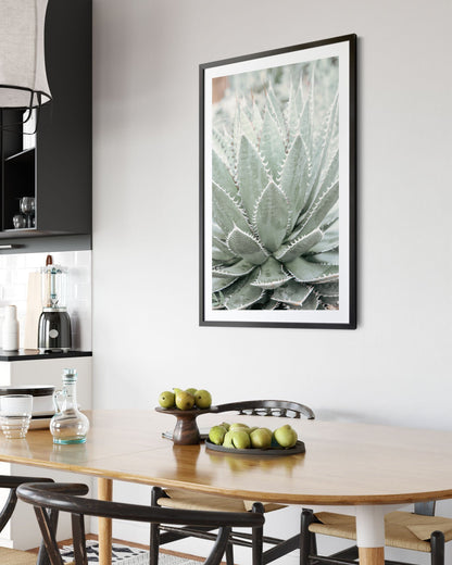 Desert Bloom – Succulent Wall Art