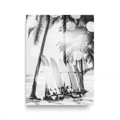 Island Lineup