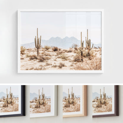Four Peaks Horizon