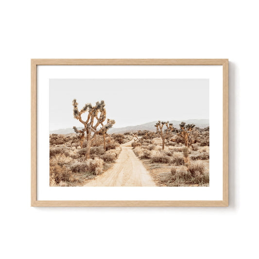 Open Desert Road