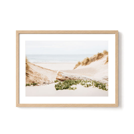 Dune Passage