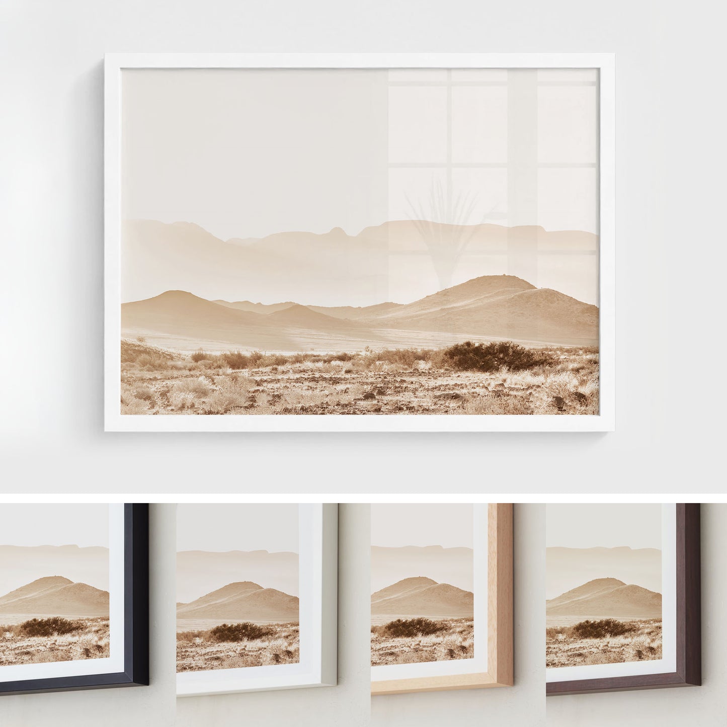 Sunlit Valley