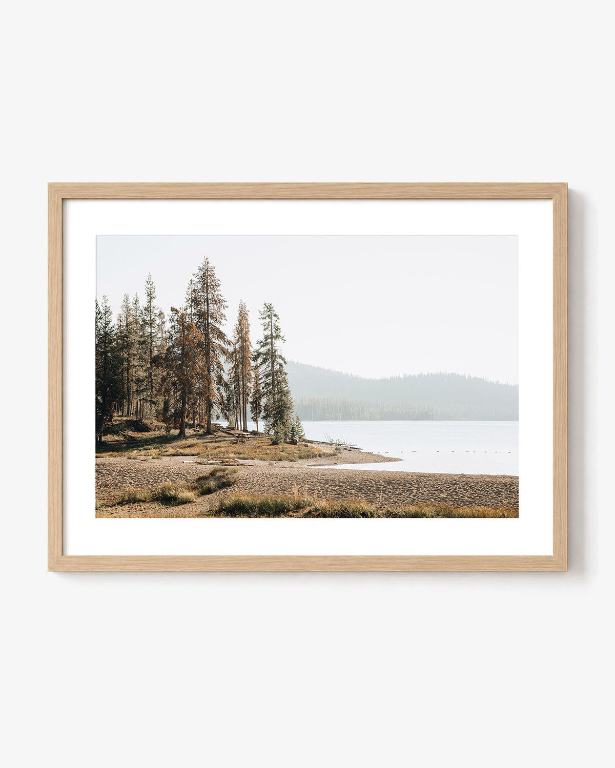 Pine Shore