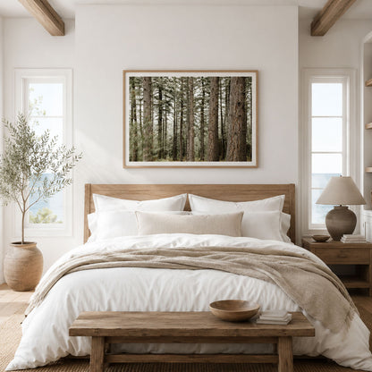 Forest Calm