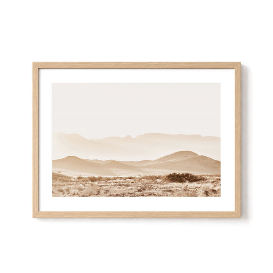 Sunlit Valley