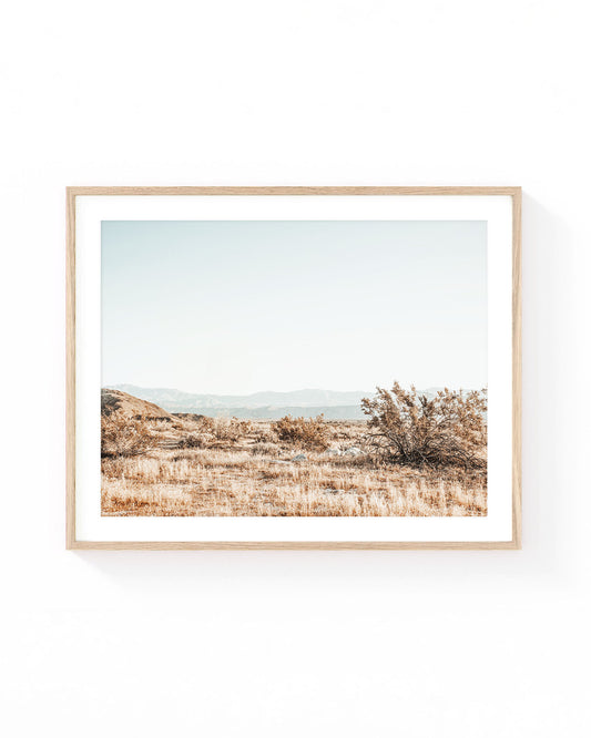 Anza Borrego Desert