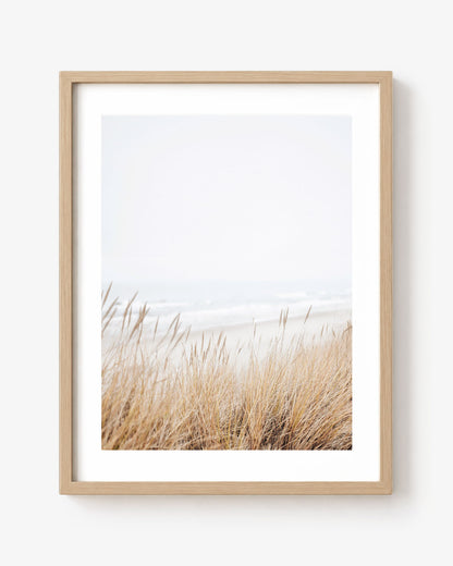 Grass by Sea