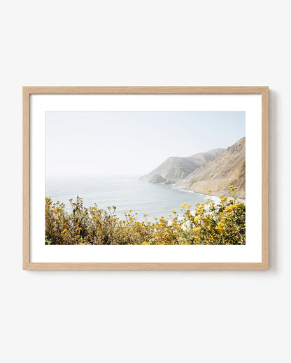 Pacific Overlook